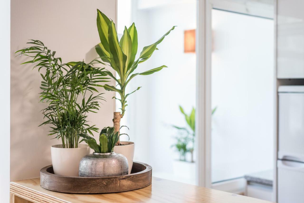 Guestready - Terraco Da Ines Appartement Porto Buitenkant foto